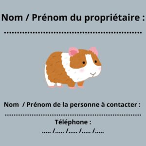 dos de la petites carte urgence mon animal est seul avec les coordonnées de la personne à contacter