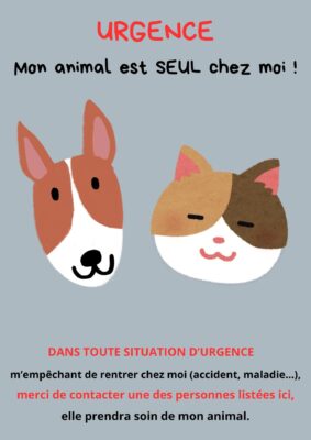 recto de la carte urgence mon animal est seul. Un dessin de chien et de chat avec l'indication de prévenir la personne indiquée