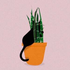 Un chat noir dessiné se cache dans une plante. On voit ses yeux et l'arrière de son corps.