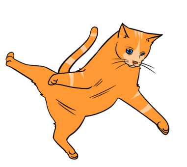 Dessin d'un chat roux. Il saute en l'air pendant la séance de training félin !