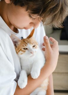 un garçon porte un chat avec douceur